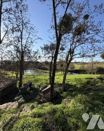 Terrain 1000 m² 