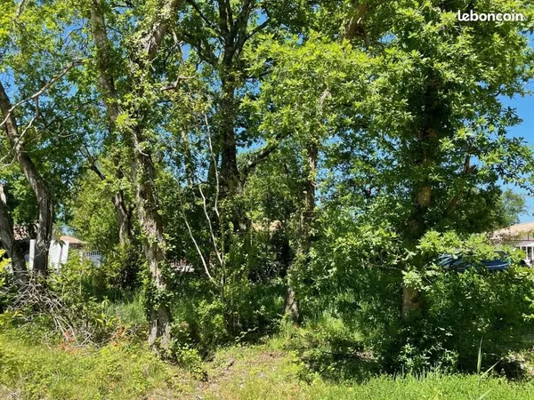 Terrain 350 m² Lacanau 