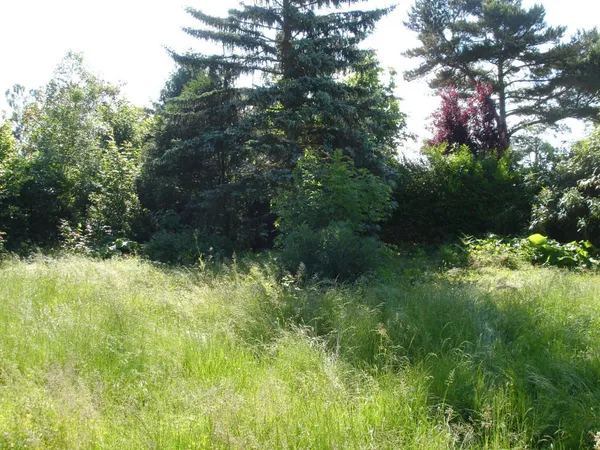 Terrain 892 m² 