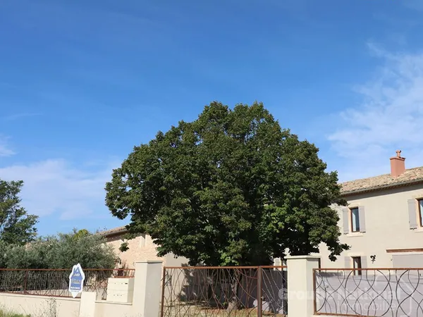 Appartement 3 pièces 112 m² 