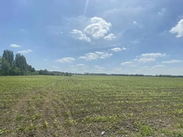 Terrain 555 m² 