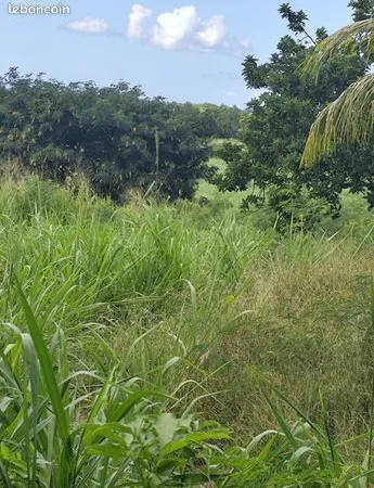 Terrain 450 m² 