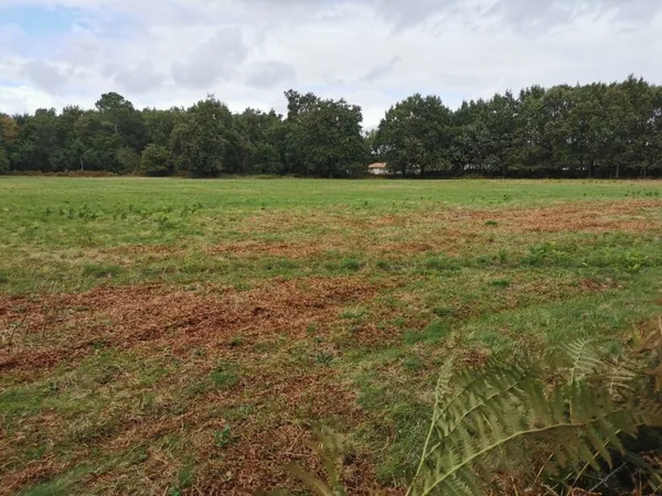 Terrain 1124 m² 