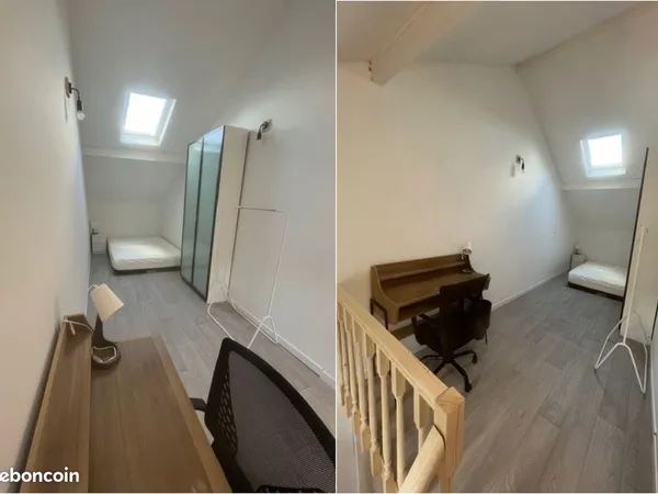 Chambre-studio 55m2 