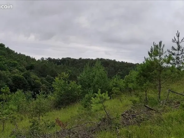 Terrain 1511 m² 