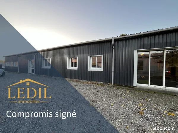 Local commercial 517 m² 