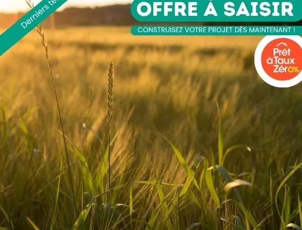 Terrain en individuel 477 m² 
