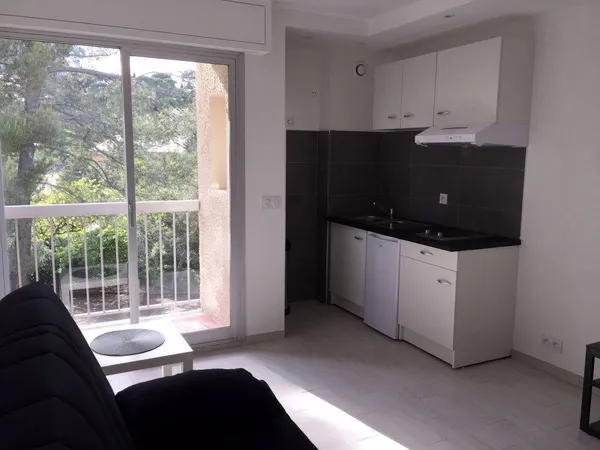 Appartement 1 pièce 19 m² 