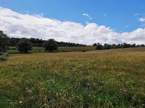 Terrain 5436 m² 