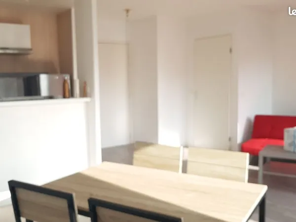 Grand T2 de 47m² idéalement placé 