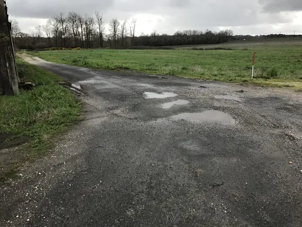 Terrain constructible Vallet (17130) ? Nature & tranquillité 