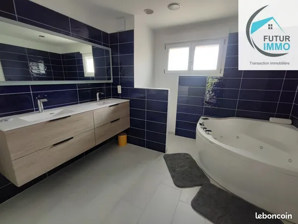Maison 9 pièces 325 m² 