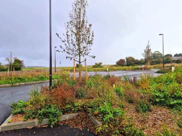 Terrain 398 m² 