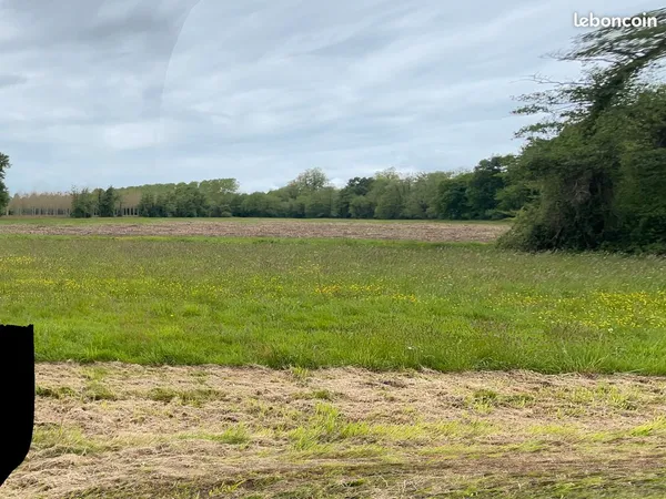 Propriété 3.75 ha (possible culture Bio) 