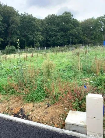 Terrain 316 m² 