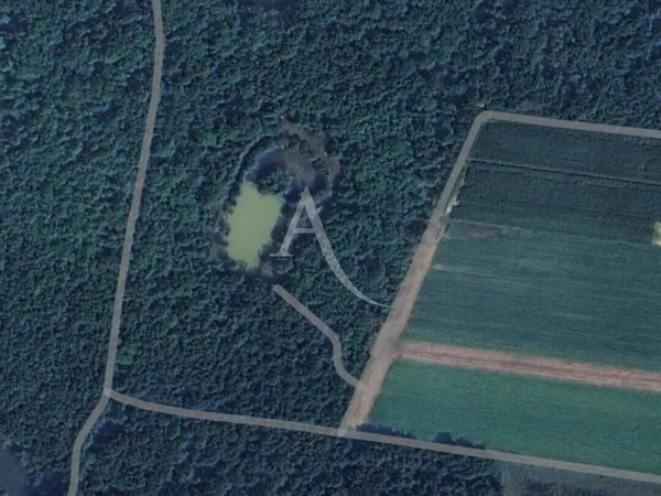 Terrain 57980 m² 