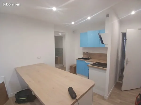 Appartement T3 totalement rénové centre St Etienne 