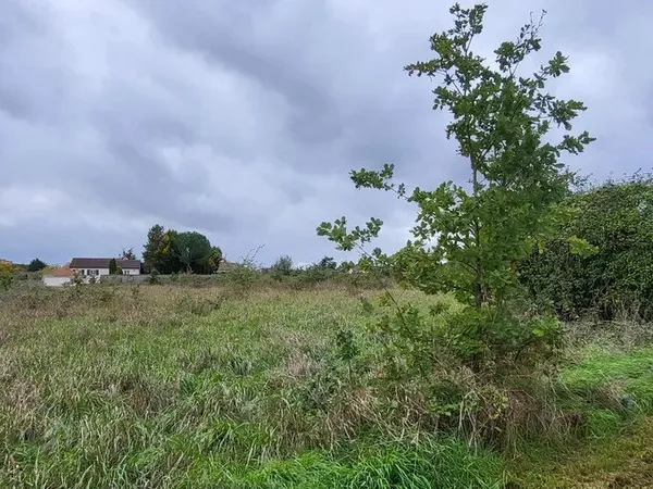 TERRAIN AGRICOLE 