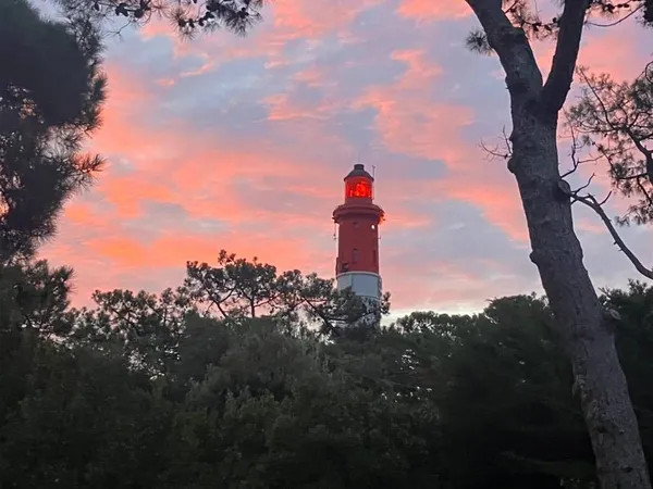 Écrin de verdure au pied du Phare 