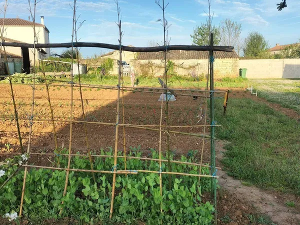 Terrain 650 m² 
