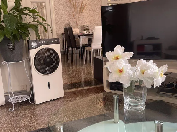 Appartement 1 pièce 