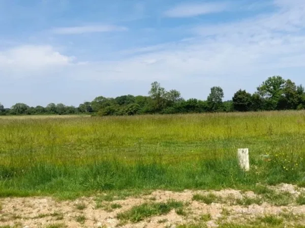 Terrain 1451 m²