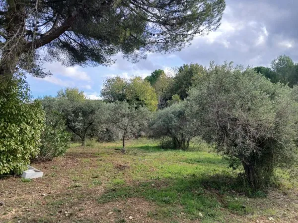 Terrain 1061 m² 