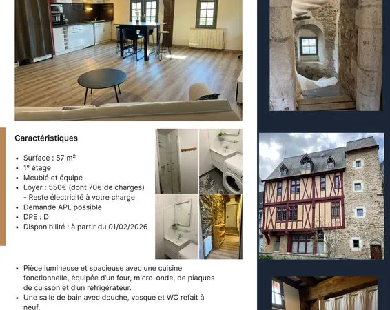 Appartement - Location T2 idéalement situé - 57 m2 meublé - Château-Gontier 