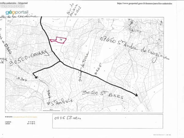 Terrain forestier 