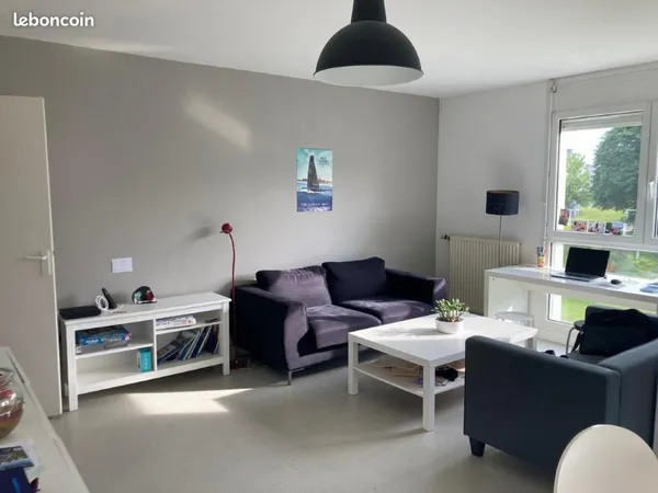 T3 meuble angers lac de maine 