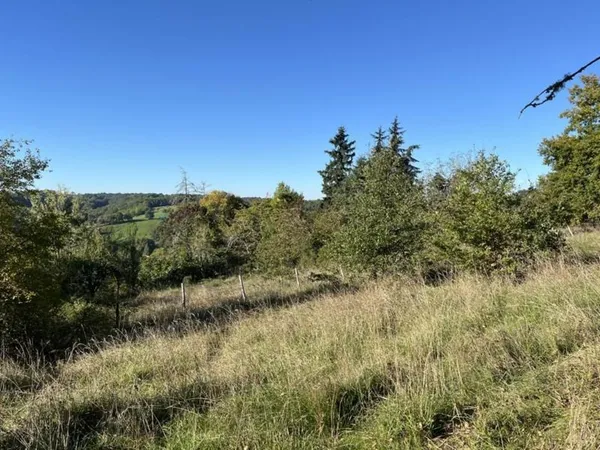 Terrain à bâtir 