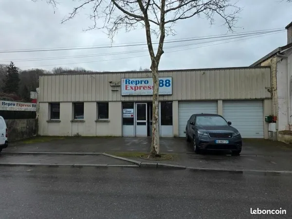 Local d'activité 363 m²