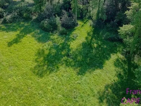 Terrain 5000 m² 