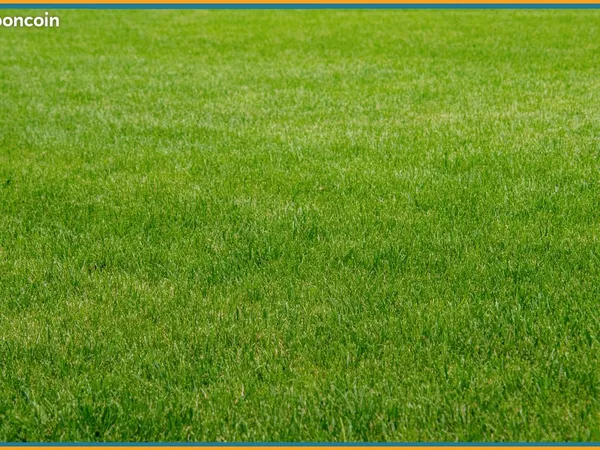 Terrain 3172 m² CAEN 