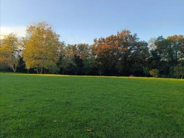 Terrain 1250 m² 