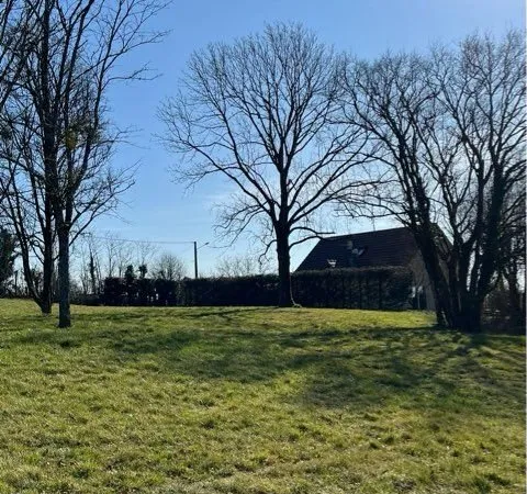 Terrain constructible