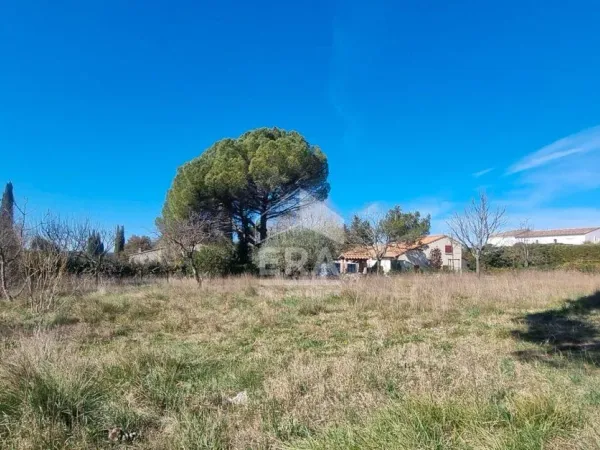 Terrain 1431 m² 