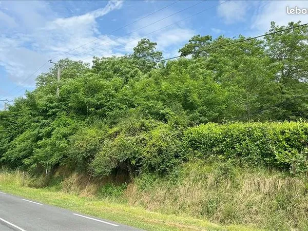 Terrain 2338 m² 