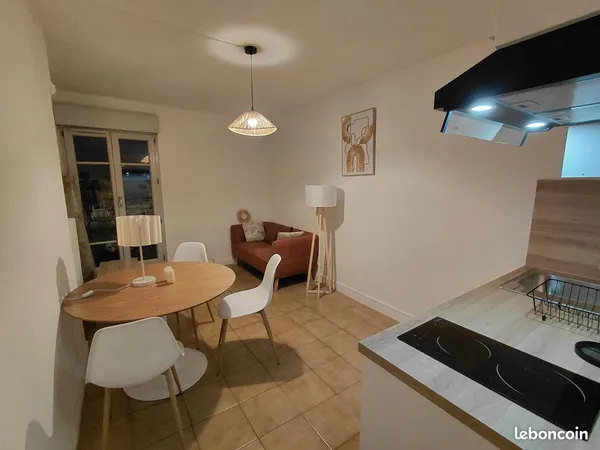Grand T2 meublé 35m² centre ville de Mâcon rue Rambueau 