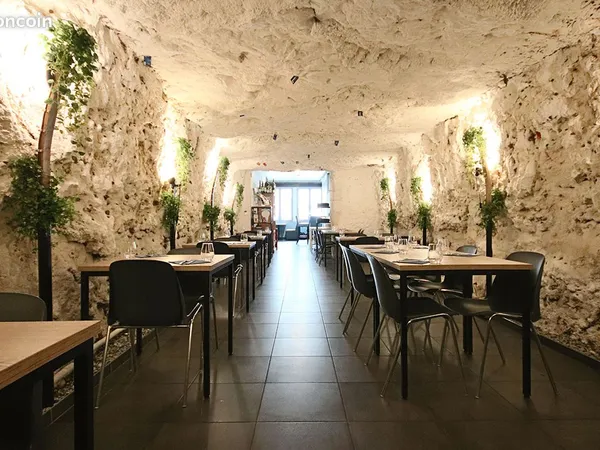 Bar, fonds de commerce, restaurant 100 m² CHAUMONT SUR LOIRE 