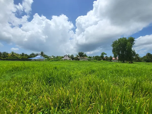Terrain 730 m² 