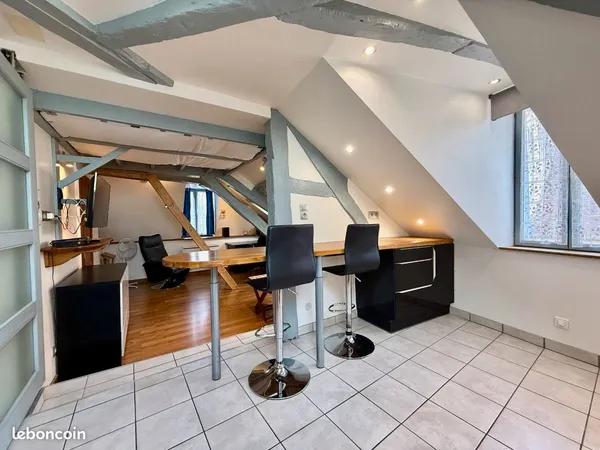 Studio meublé de 54m2 (33m2 loi carrez) 