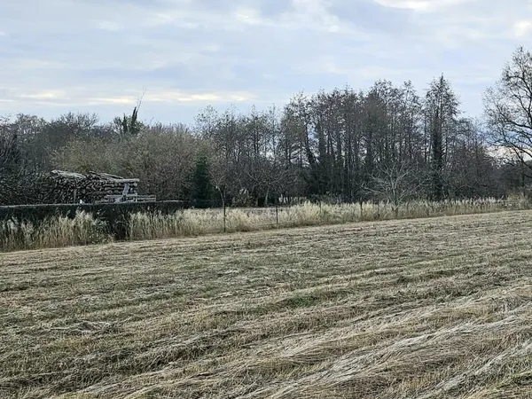 Terrain 580 m² Manziat 