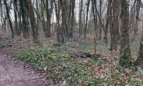 Terrain 775 m² 