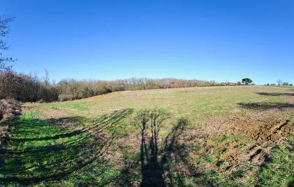 Terrain 1 203 m² Vigoulet Auzil 