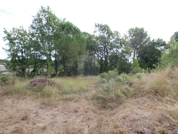 Superbe terrain - 1318m2 - Saint-Paul de Vence 