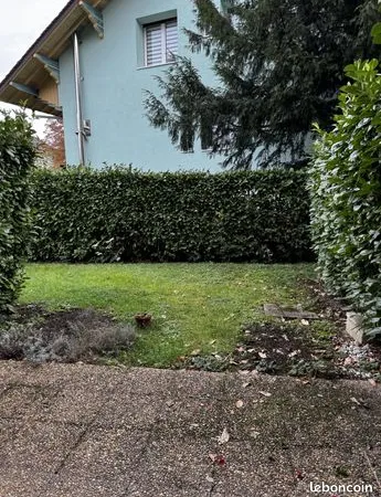 Appartement 2 pièces 31 m² 