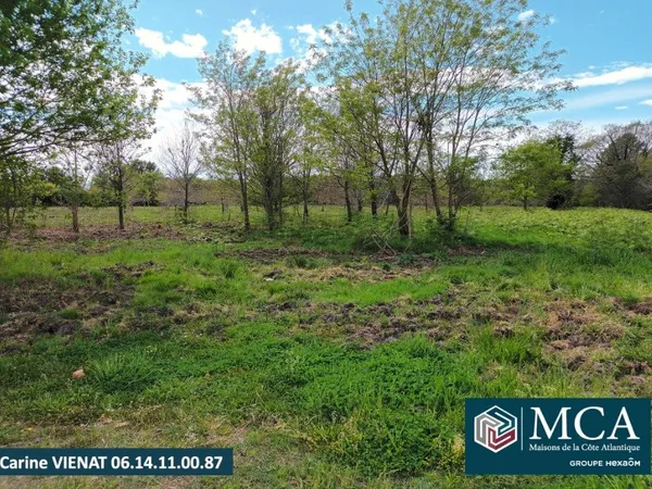 Terrain 300 m² 