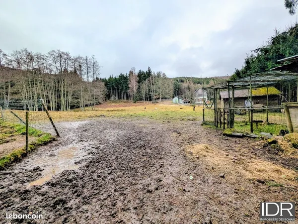 Terrain 3500 m² Saint-Quirin 