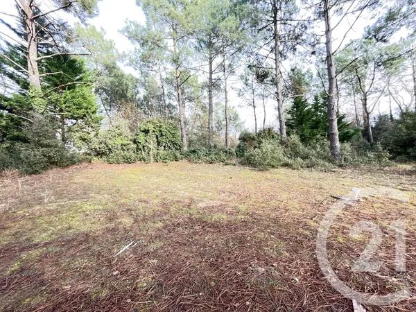 Terrain 1170 m² 